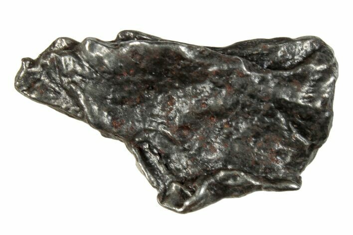 Sikhote-Alin Iron Meteorite Shrapnel ( g) - Russia #263588